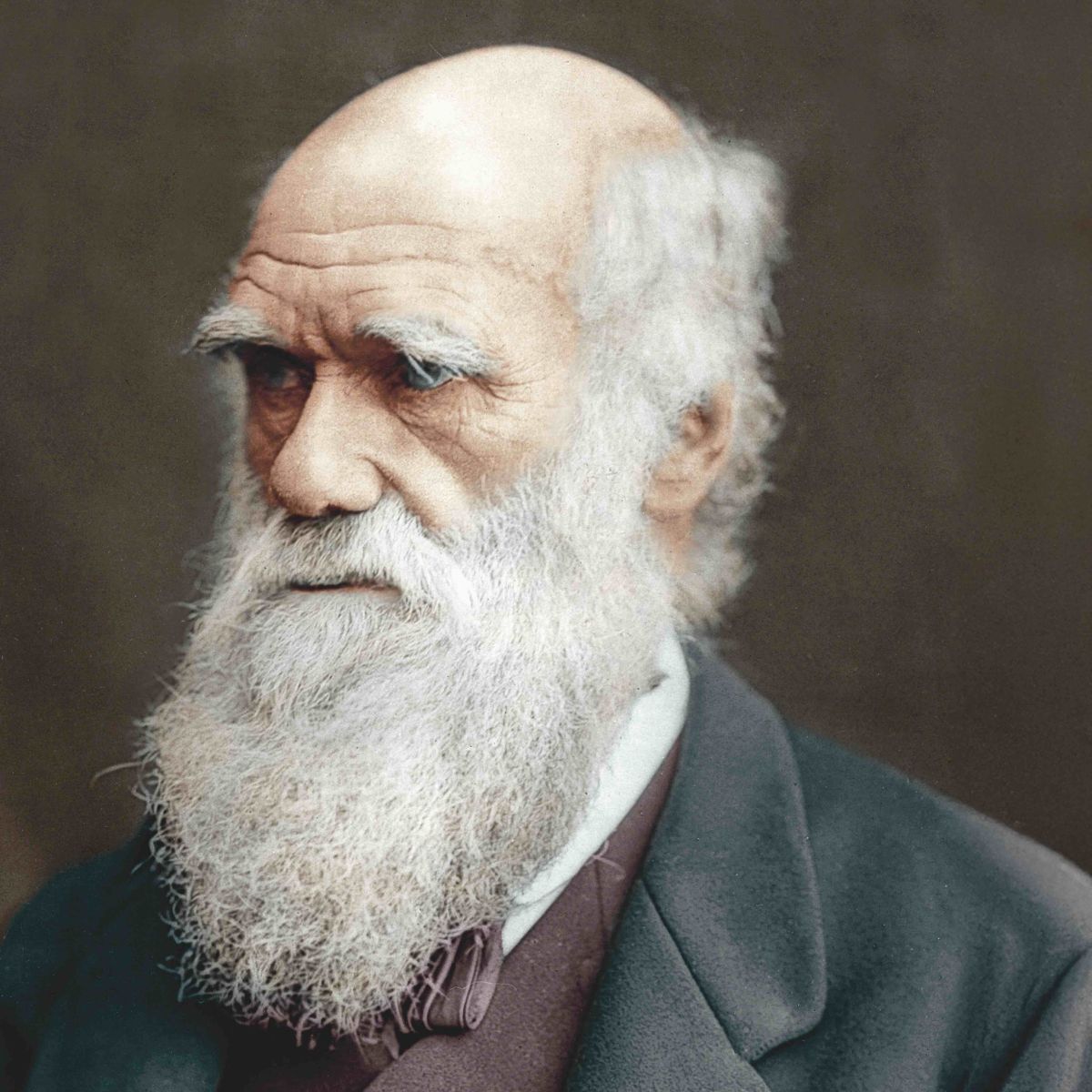 Darwin no fue un despiadado darwinista: cómo la ley del más fuerte tergiversa su teoría