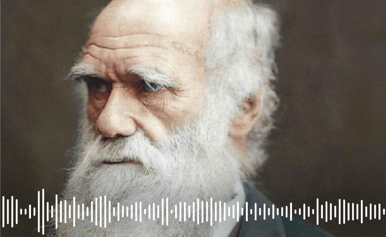 Pódcast | Darwin no fue un despiadado darwinista: cómo la ley del más fuerte tergiversa su teoría